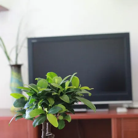 Viviana Apartamento *