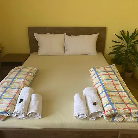 Viviana * 普罗夫迪夫