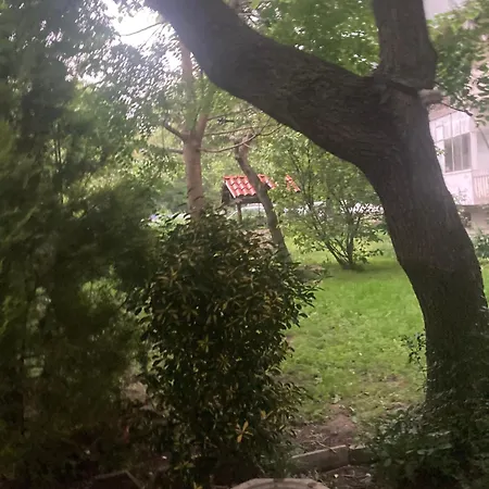Apartament Viviana