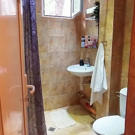 Viviana * بلوفديف