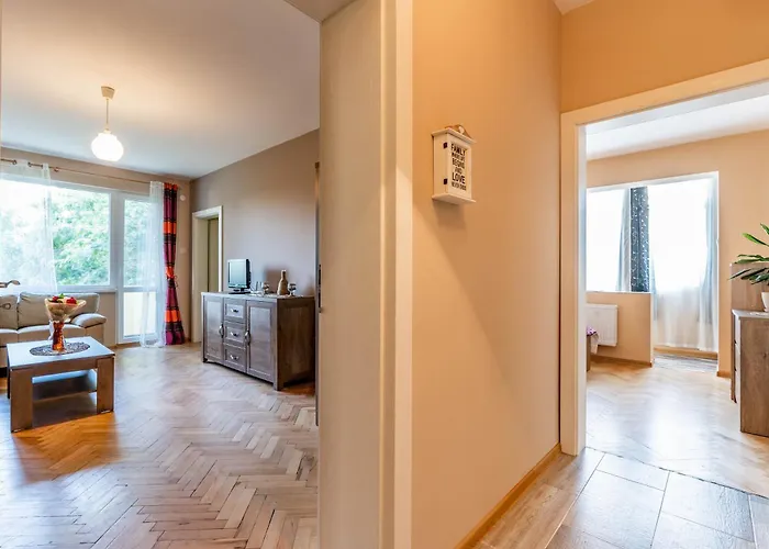 Viviana 普罗夫迪夫