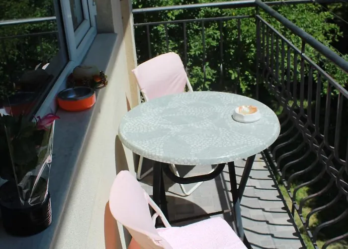 Viviana * 普罗夫迪夫