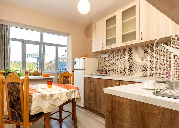 Viviana 普罗夫迪夫