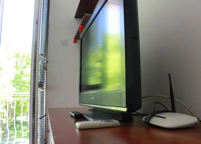 Viviana * 普罗夫迪夫