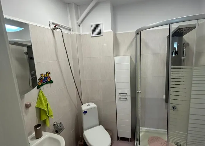 Viviana 普罗夫迪夫