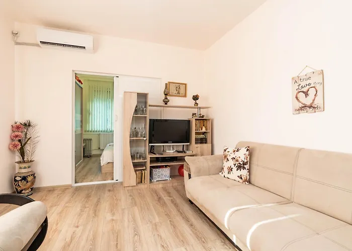 Viviana 普罗夫迪夫